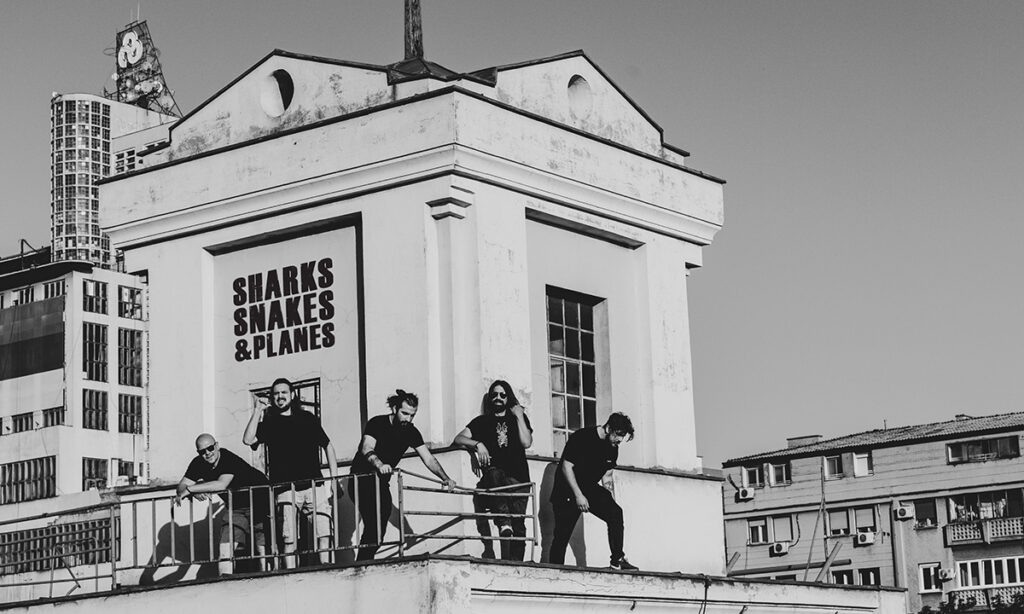 Shark Snakes and Planes